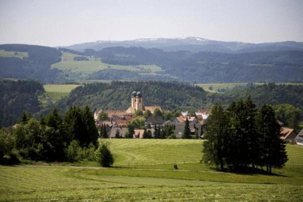 Gaestehaus Wald Und See Titisee-Neustadt Ngoại thất bức ảnh