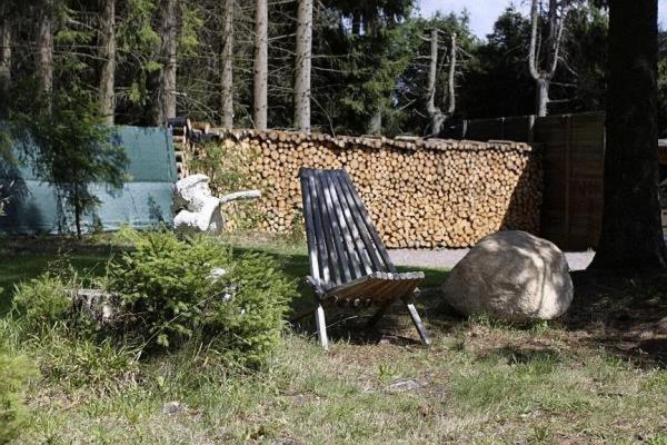 Gaestehaus Wald Und See Titisee-Neustadt Ngoại thất bức ảnh
